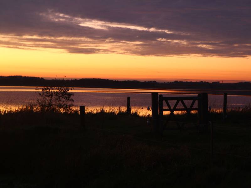 159_cd648aea3ff41444f0341b464d2925b7.JPG
