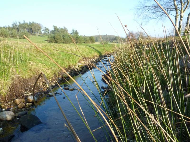 Lynderup04.JPG